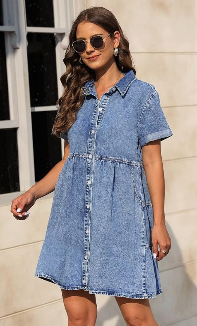 Savena Denim Dress